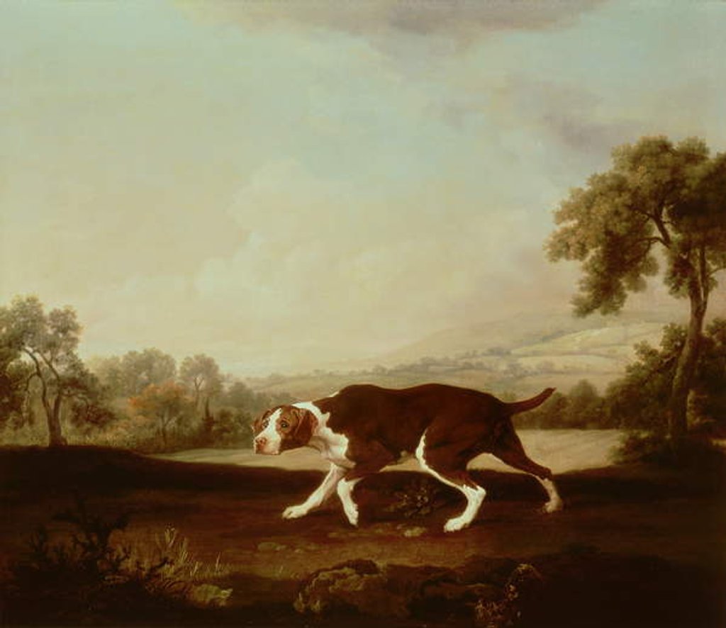 Detail of Spanish Pointer by George Stubbs