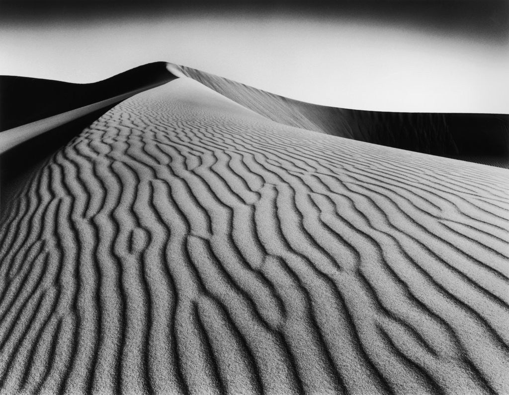 Detail of Nevada Desert Dunes by Anonymous