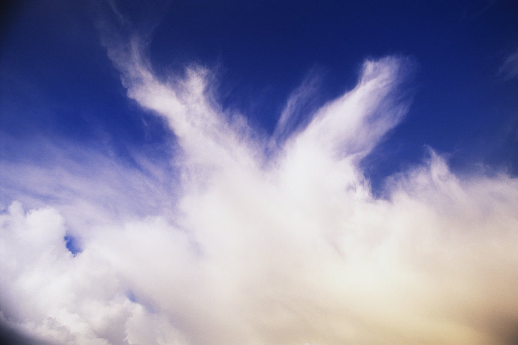 Detail of Clouds Changing Shape by Anonymous