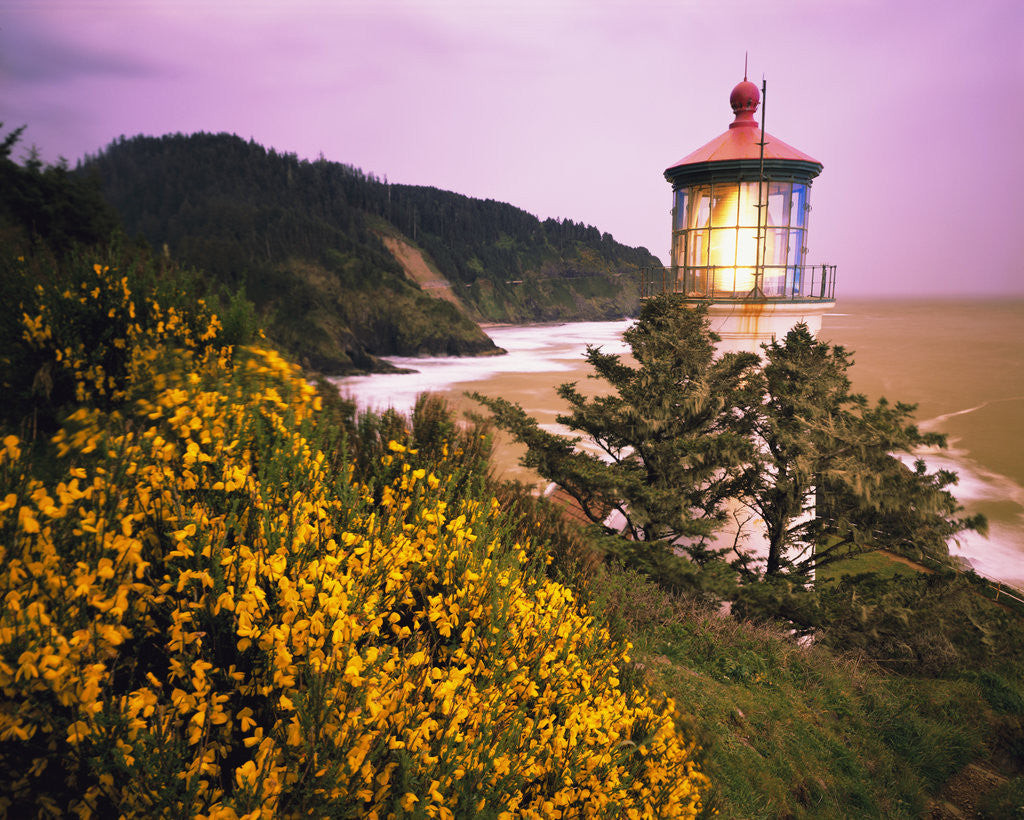 Detail of Lighthouse by Coast at Sunset by Anonymous