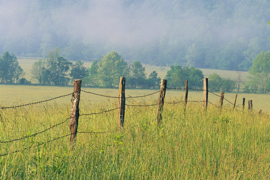 Detail of Rural Fence by Anonymous