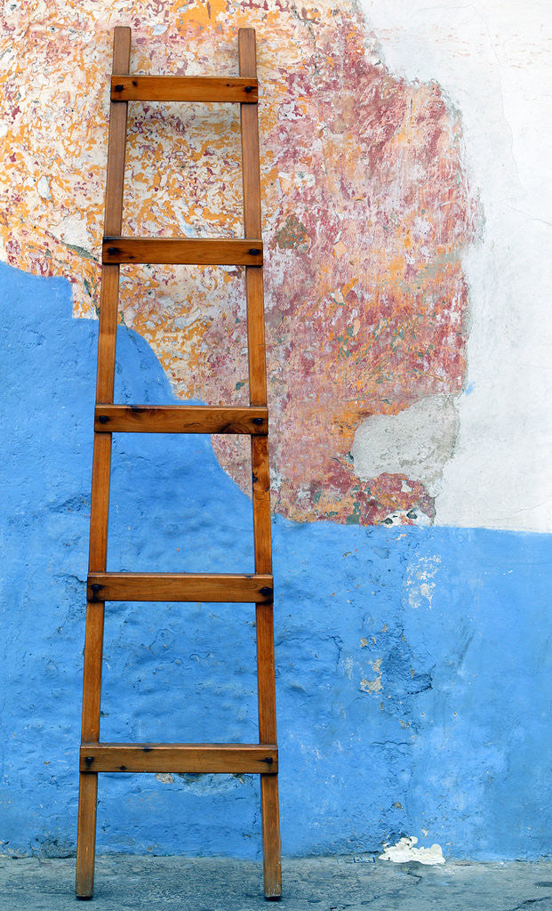 Detail of Ladder Against Wall by Anonymous
