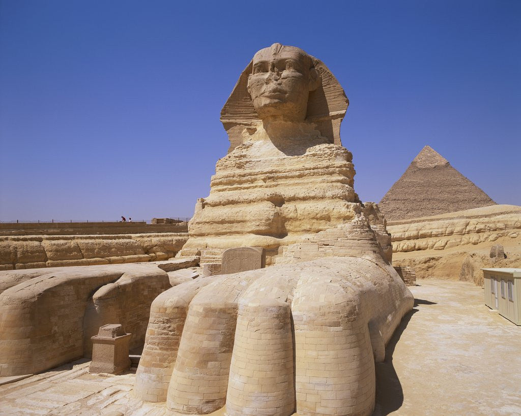 Detail of Great Sphinx by Anonymous
