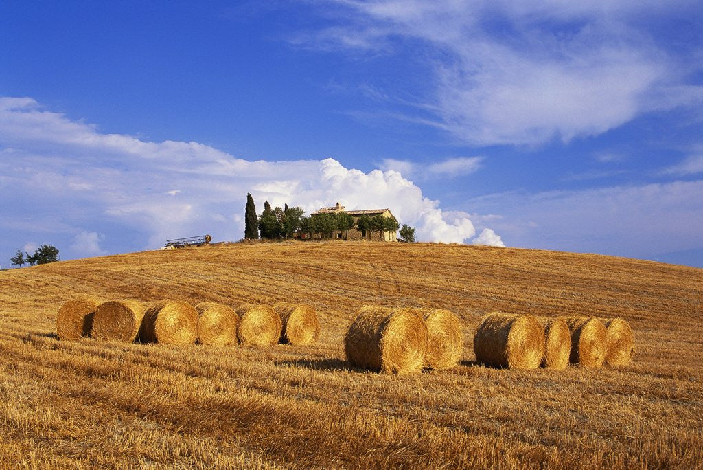 Detail of Hay Bales and Farmhouse in Val d'Orcia by Anonymous