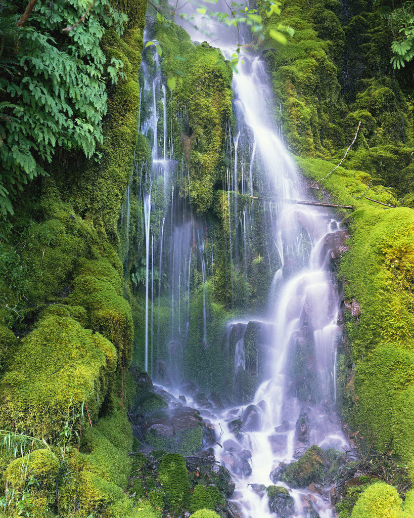 Detail of Waterfall by Anonymous