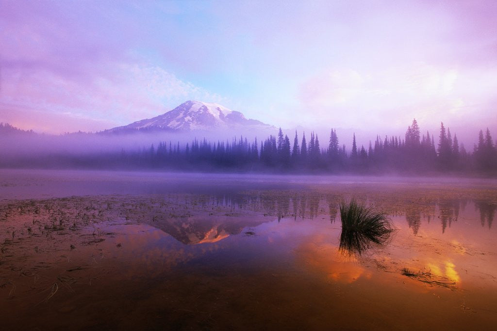Detail of Fog Hanging Over Reflection Lake by Corbis