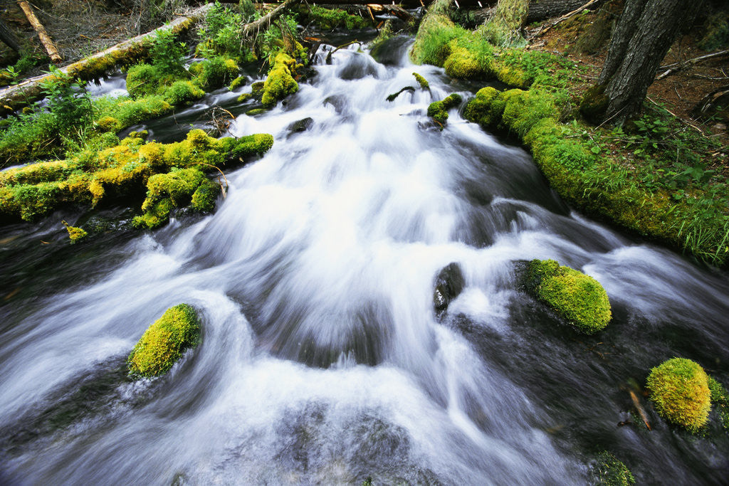 Detail of Rushing Stream by Anonymous