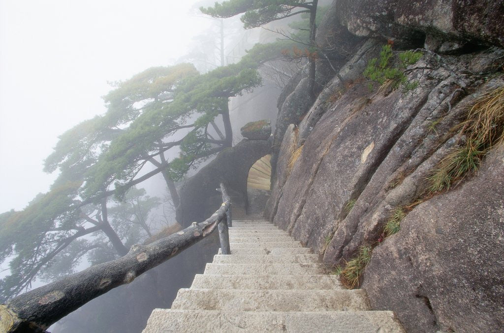 Detail of Hillside Path in China's Yellow Mountains by Anonymous
