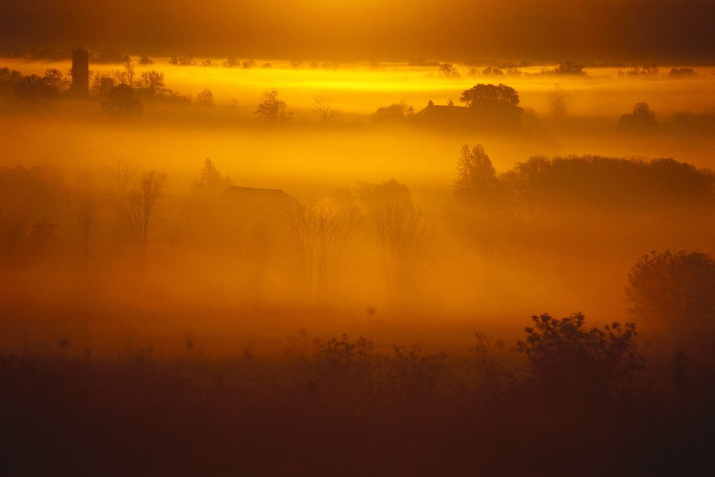 Detail of Early Morning Mist by Anonymous