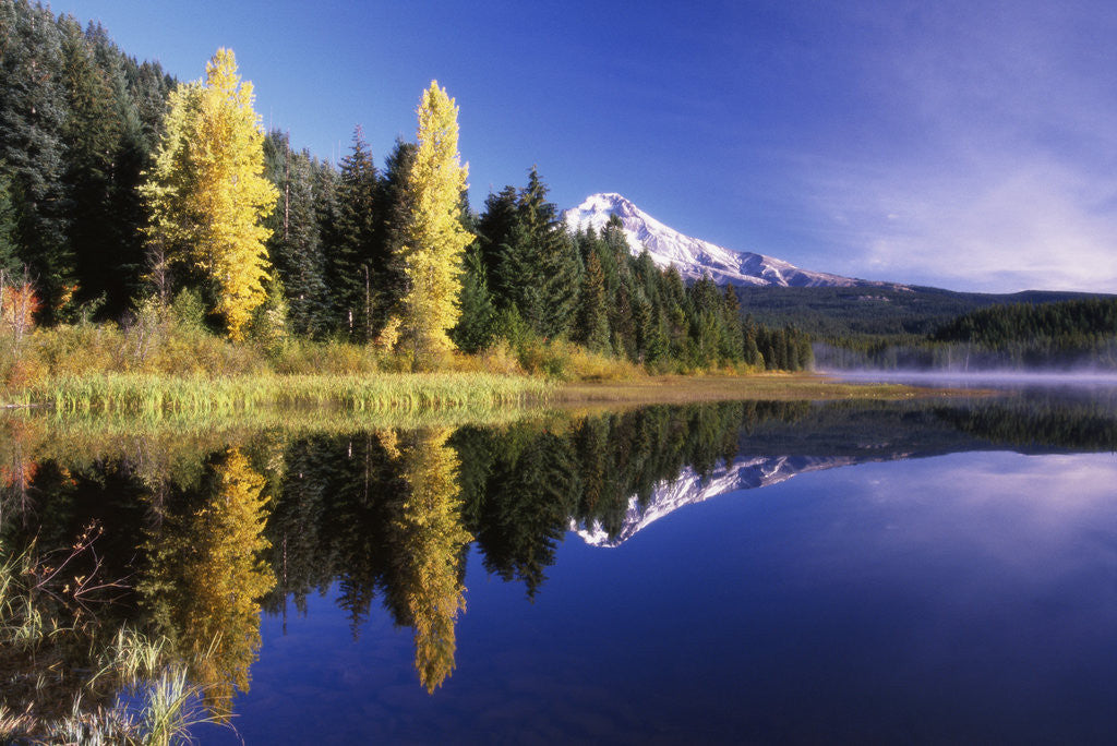 Detail of Clear Autumn Day at Trillium Lake by Corbis