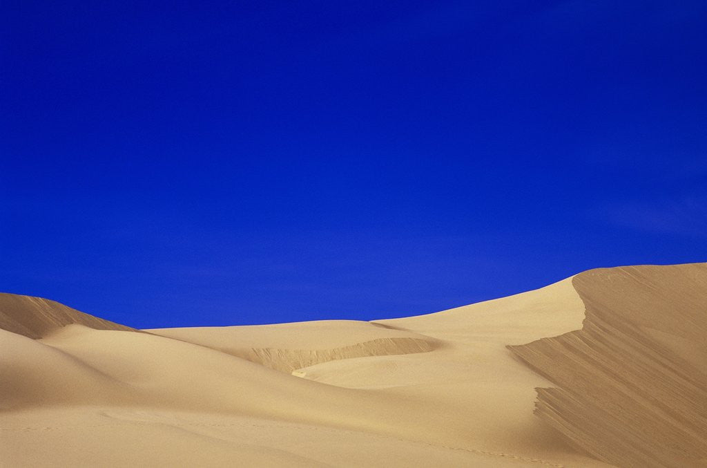 Detail of Sand Dunes by Anonymous