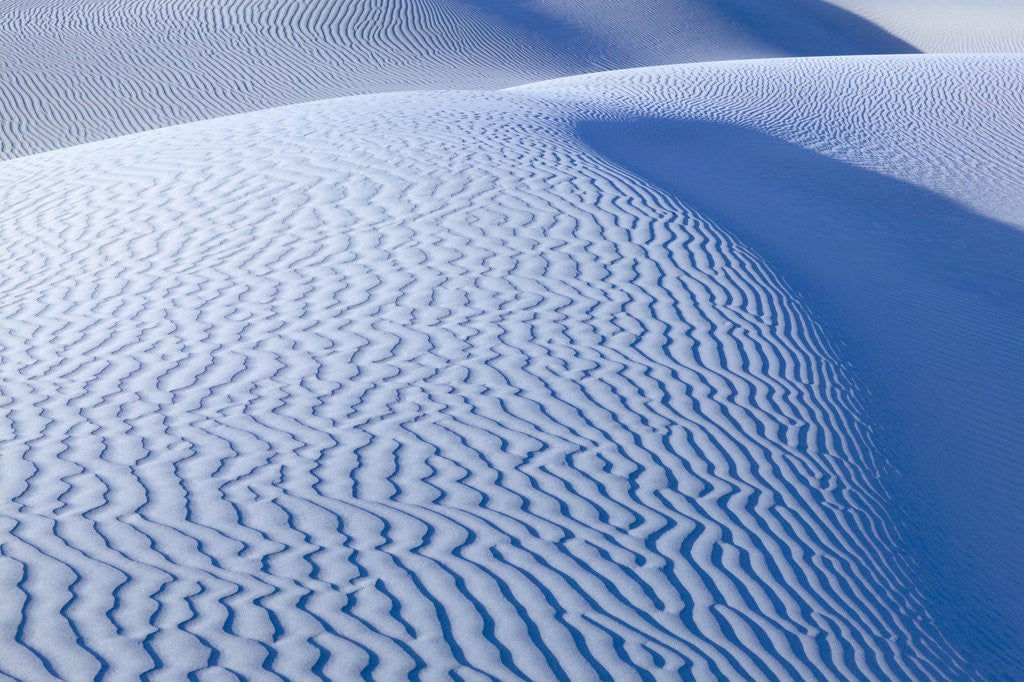 Detail of Sand Dunes by Anonymous