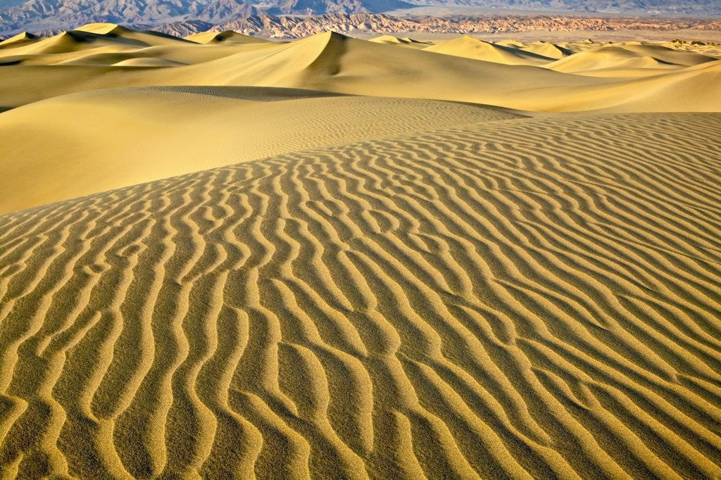 Detail of Sand Dunes by Anonymous