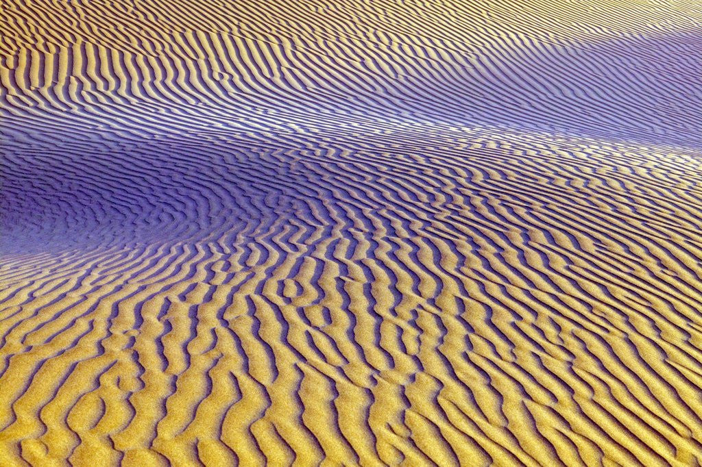 Detail of Purple Sand Dunes by Anonymous
