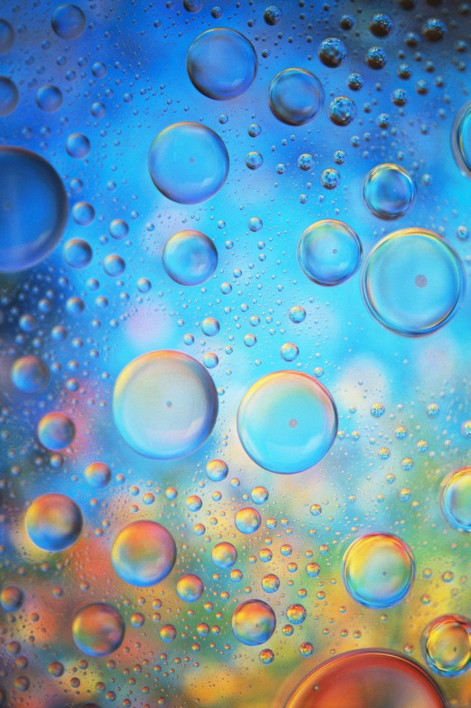 Detail of Water Drops by Anonymous