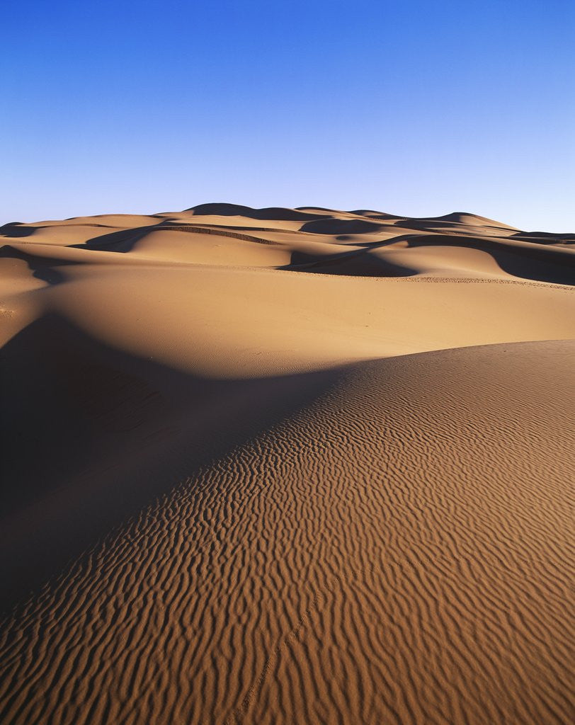 Detail of Sahara Desert by Anonymous