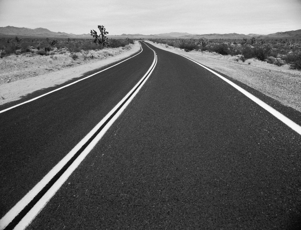 Detail of Open Road in Desert by Corbis