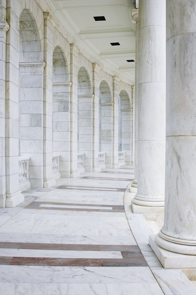 Detail of Interior of Jefferson Memorial by Anonymous
