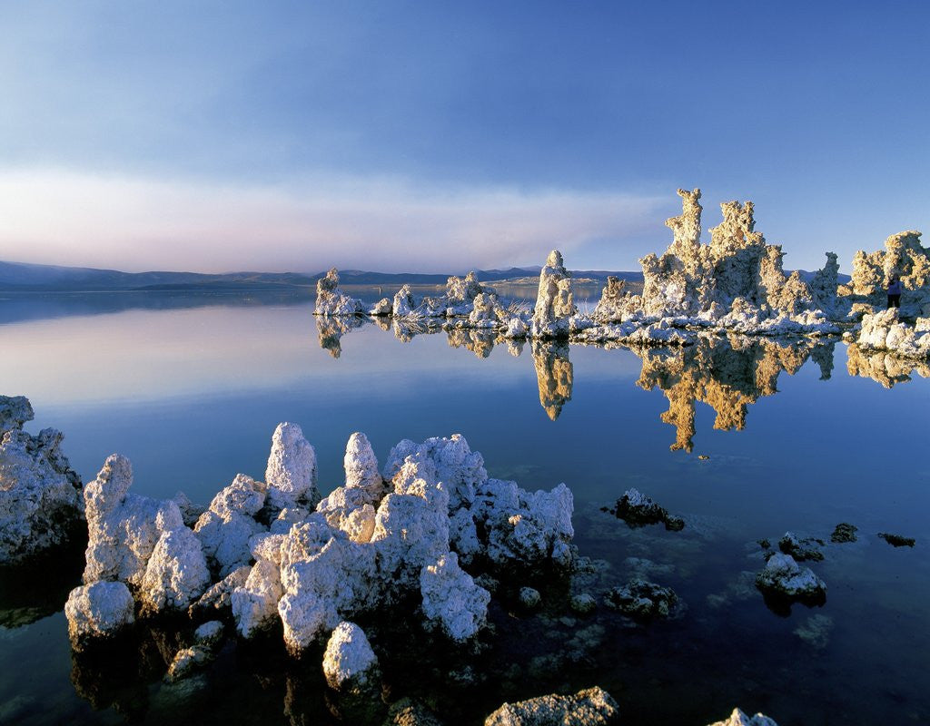 Detail of South Tufa on Mono Lake by Anonymous