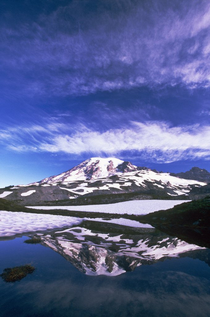 Detail of Mount Rainier Reflected in Pond by Anonymous
