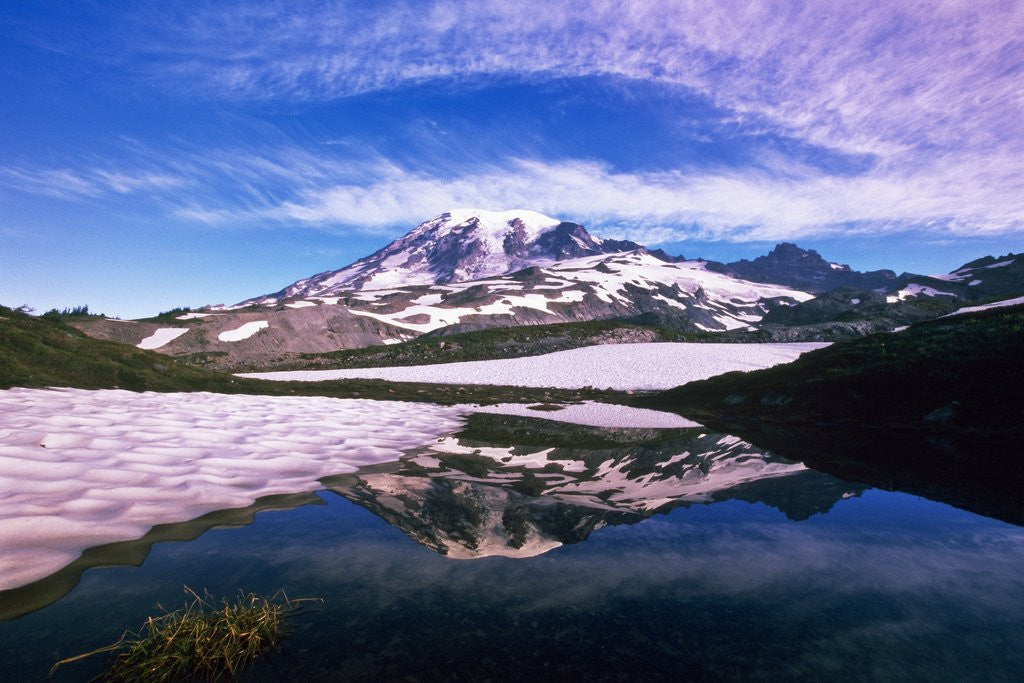 Detail of Mount Rainier Reflected in Pond by Anonymous