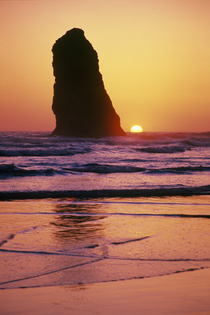 Detail of Sea Stack at Sunset by Corbis