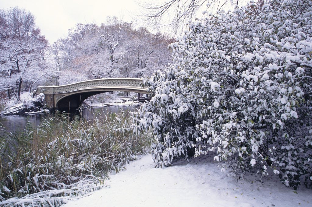 Detail of Snow at Bow Bridge in Central Park by Anonymous