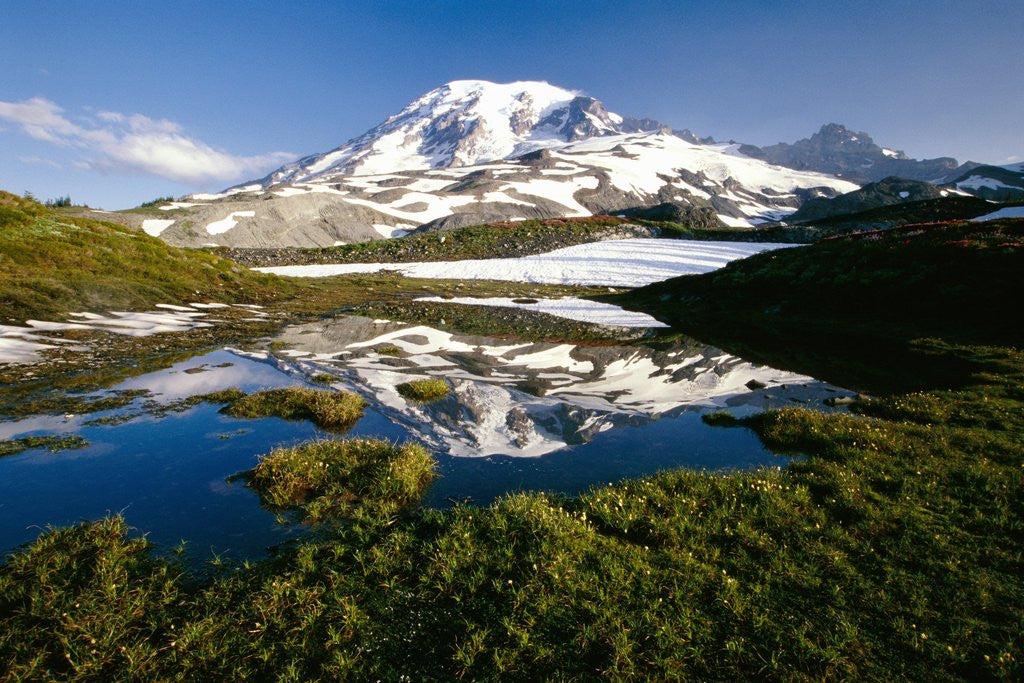 Detail of Alpine Lake Reflecting Mt. Rainier by Anonymous