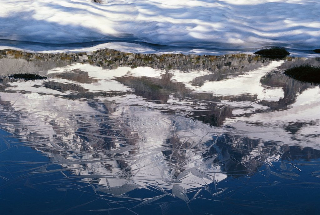 Detail of Frozen Lake Reflecting Mt. Rainier by Anonymous