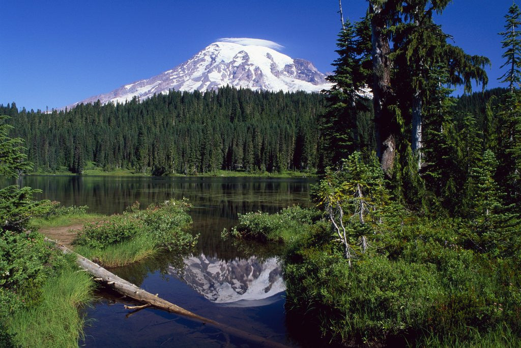 Detail of Mount Rainier and Reflection Lake by Corbis