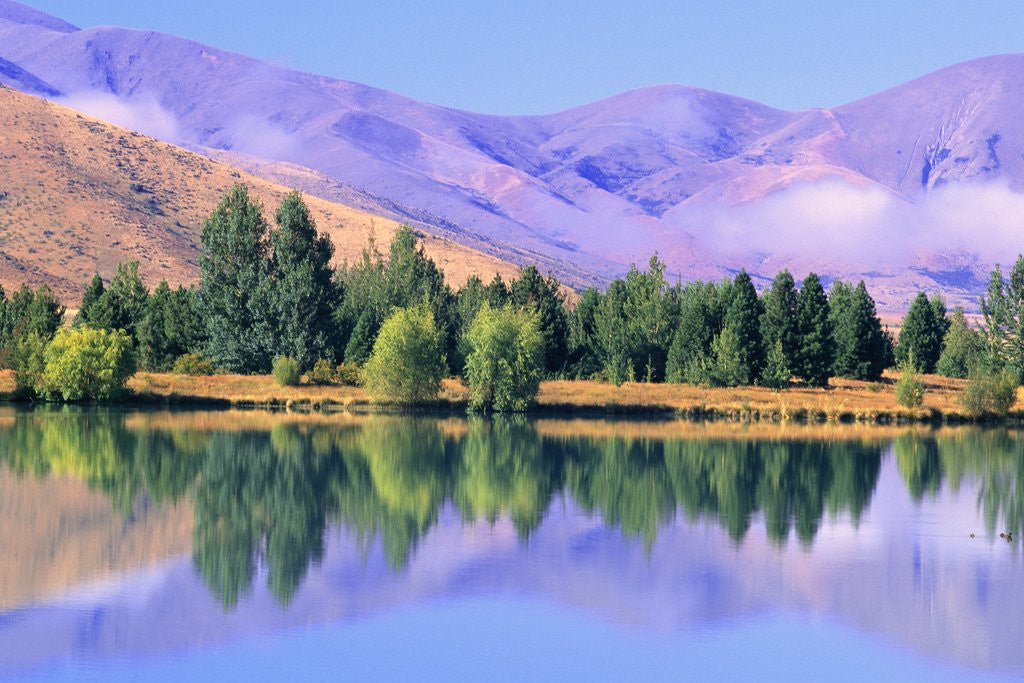 Detail of Lake Reflecting Trees Against Mountains by Anonymous