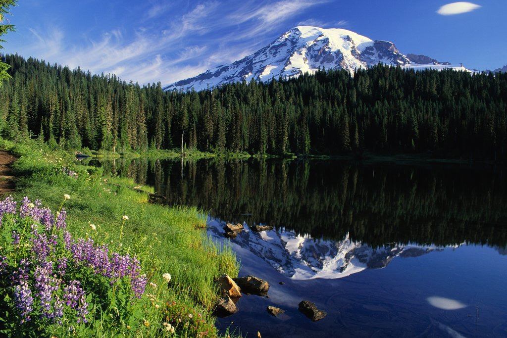 Detail of Reflection Lake and Mount Rainier by Anonymous