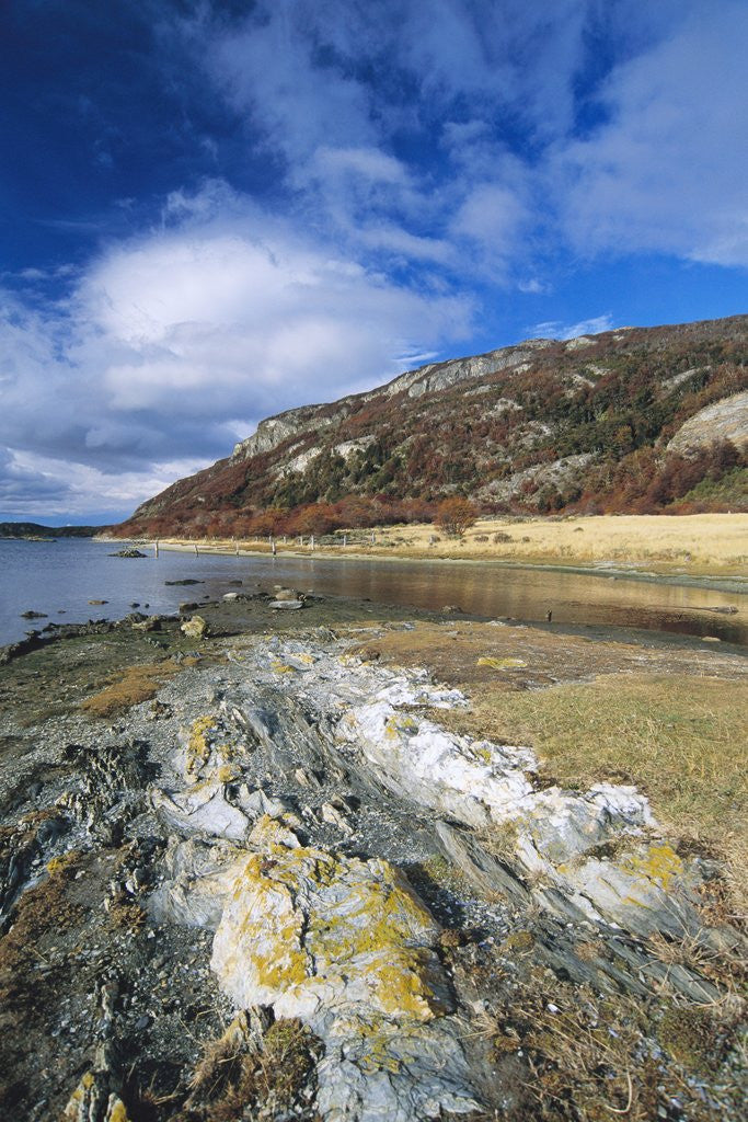 Detail of Rocks Along Shore by Anonymous