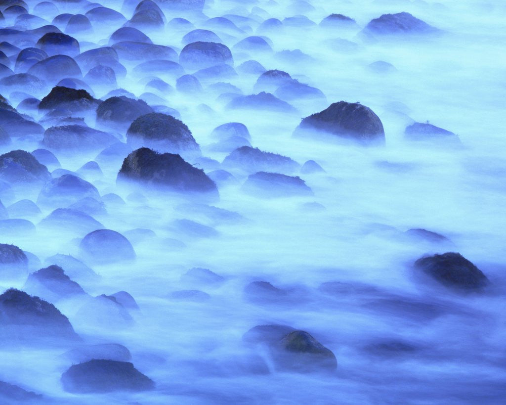 Detail of Mist at Shore of Mount Desert Island by Anonymous