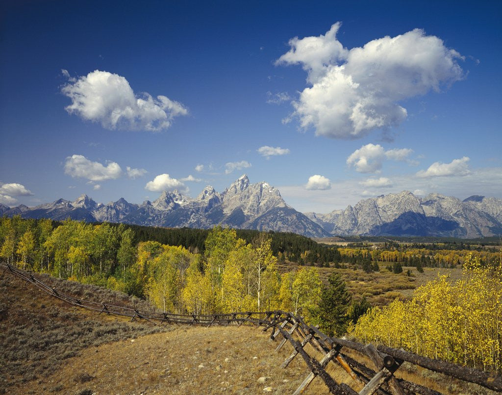 Detail of Fence Bordering Ranch Near the Teton Range by Anonymous