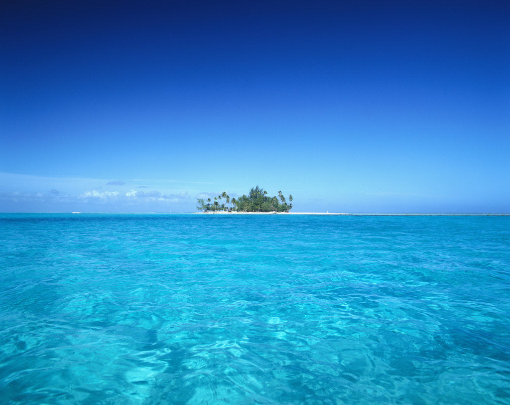 Detail of Sparkling Ocean and Tropical Island by Anonymous