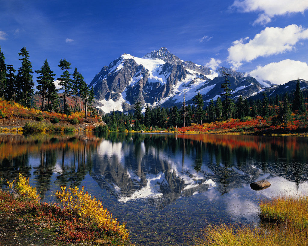 Detail of Autumn Foliage Surrounding Picture Lake by Corbis