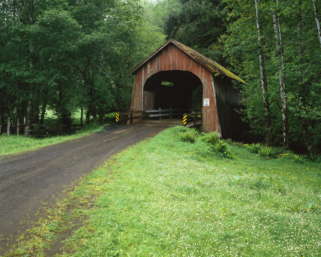 Detail of Covered Bridge near Coast by Anonymous