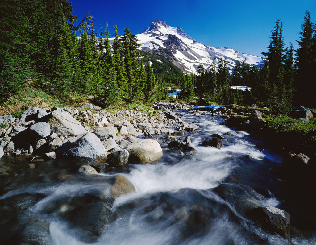 Detail of Winding Creek Below Snow-Capped Mountain by Anonymous