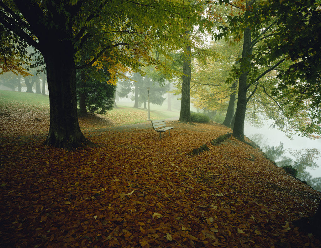 Detail of Quiet Park in Autumn by Anonymous