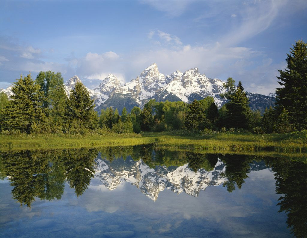 Detail of Beaver Pond with Teton Range in Distance by Anonymous