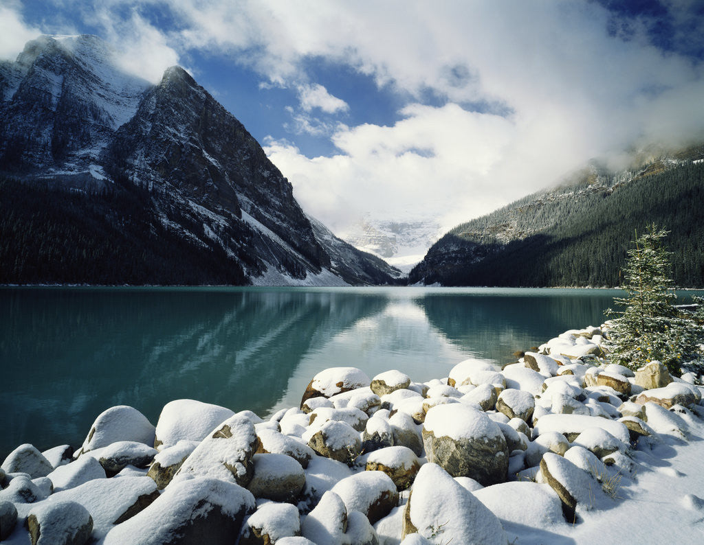 Detail of Snow-Covered Rocks in Banff National Park by Anonymous