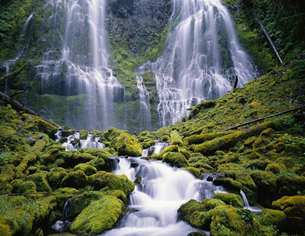 Detail of Water Cascading Down Proxy Falls by Anonymous