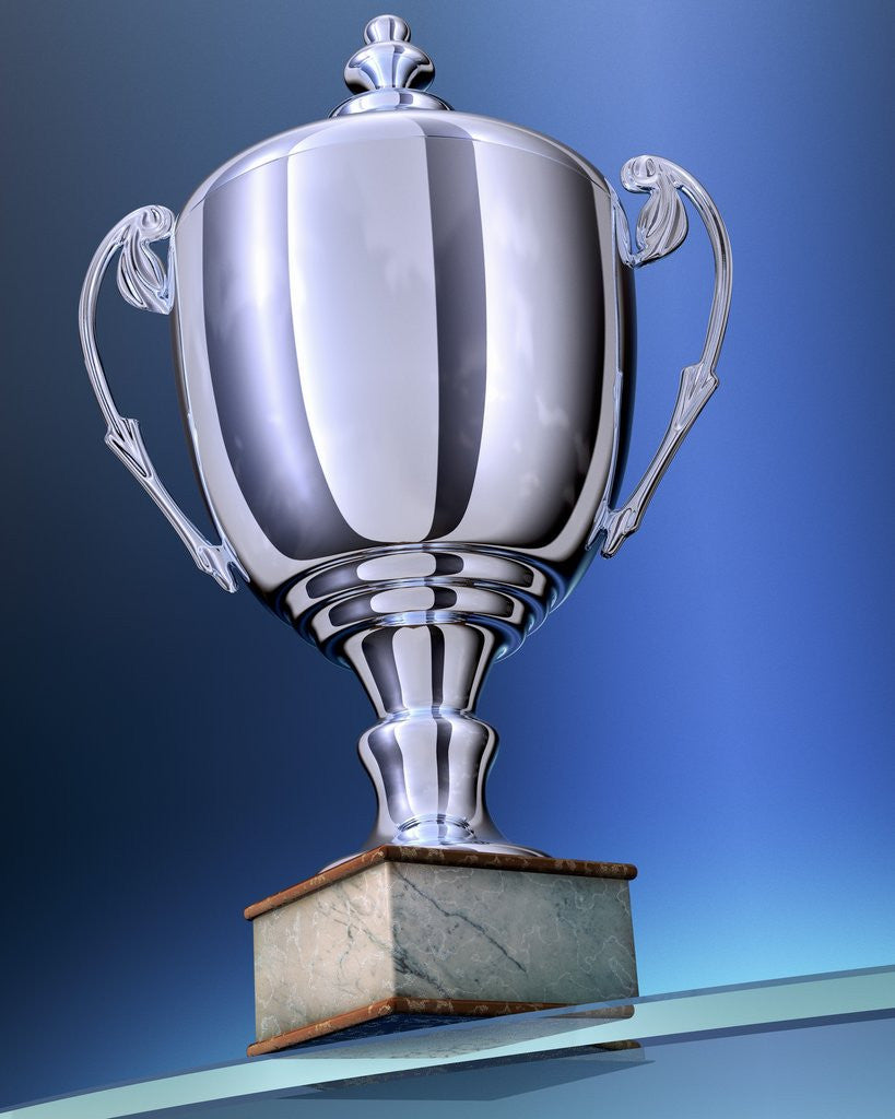 Detail of Shiny Trophy by Anonymous