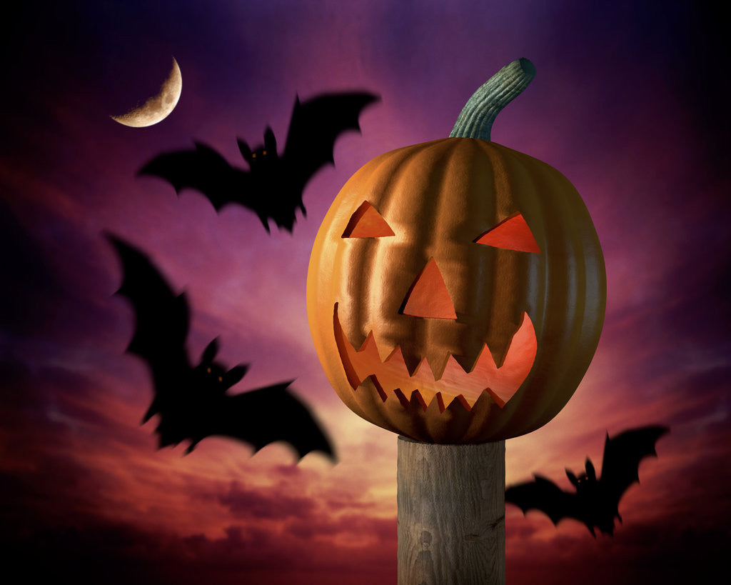 Detail of Scary Pumpkin and Bats by Corbis