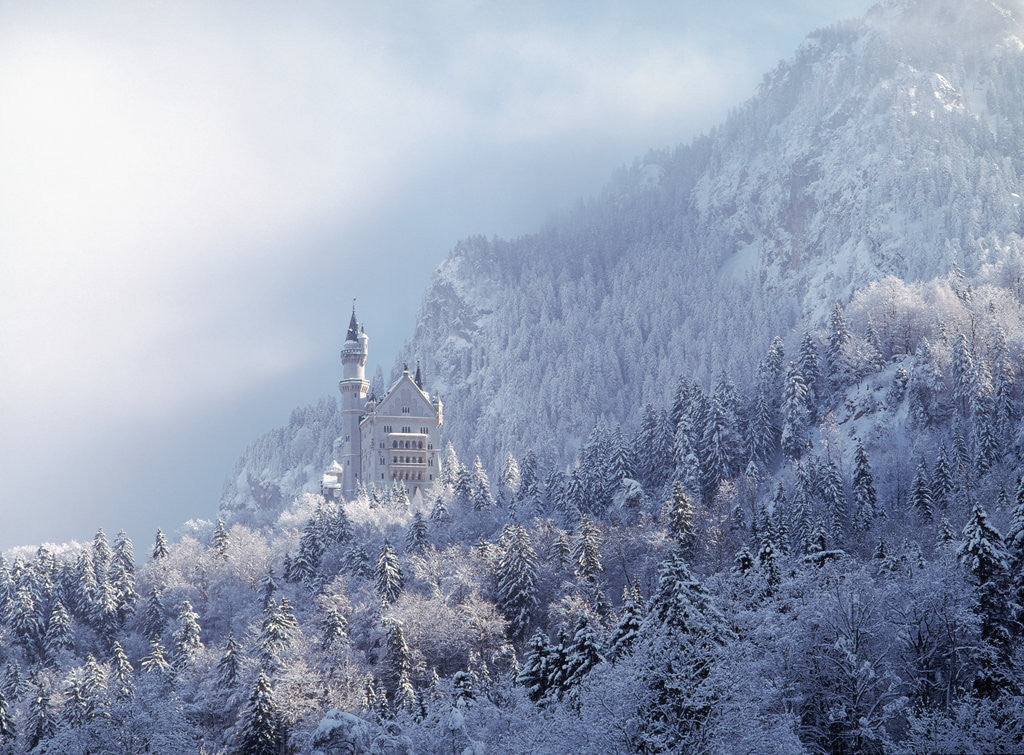 Detail of Neuschwanstein Castle by Anonymous