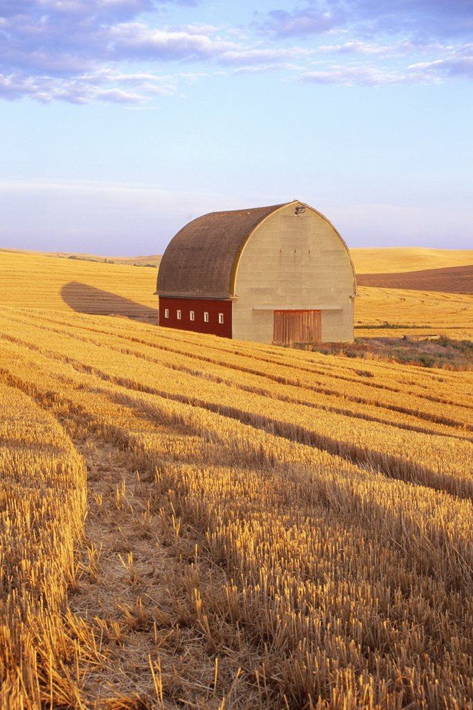 Detail of Barn in Harvested Field by Corbis