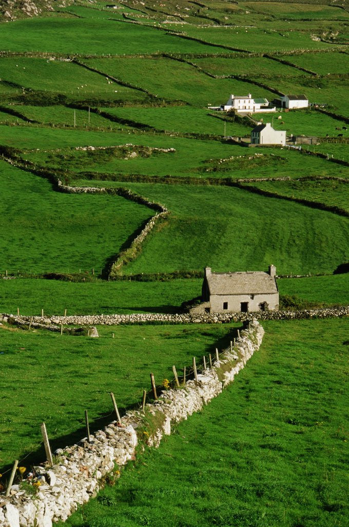Detail of Abandoned Farmhouse in the Irish Countryside by Anonymous