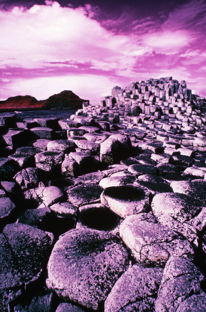 Detail of Giant's Causeway by Anonymous