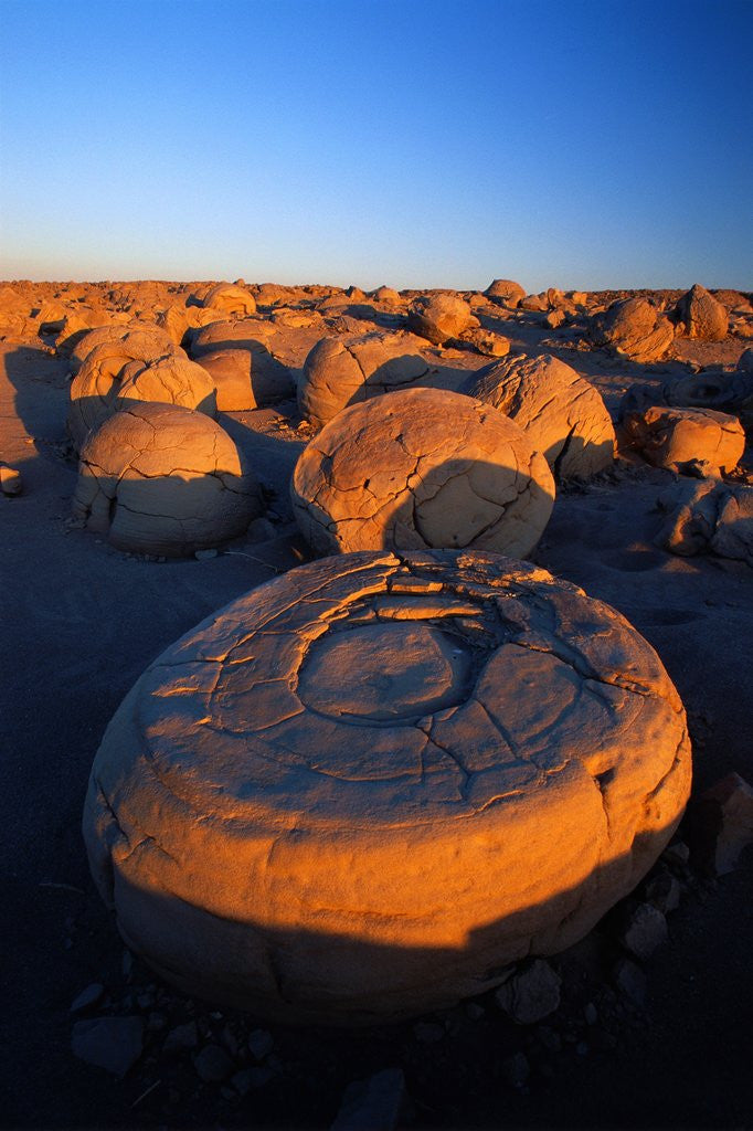 Detail of Pumpkin Patch Concretions by Anonymous